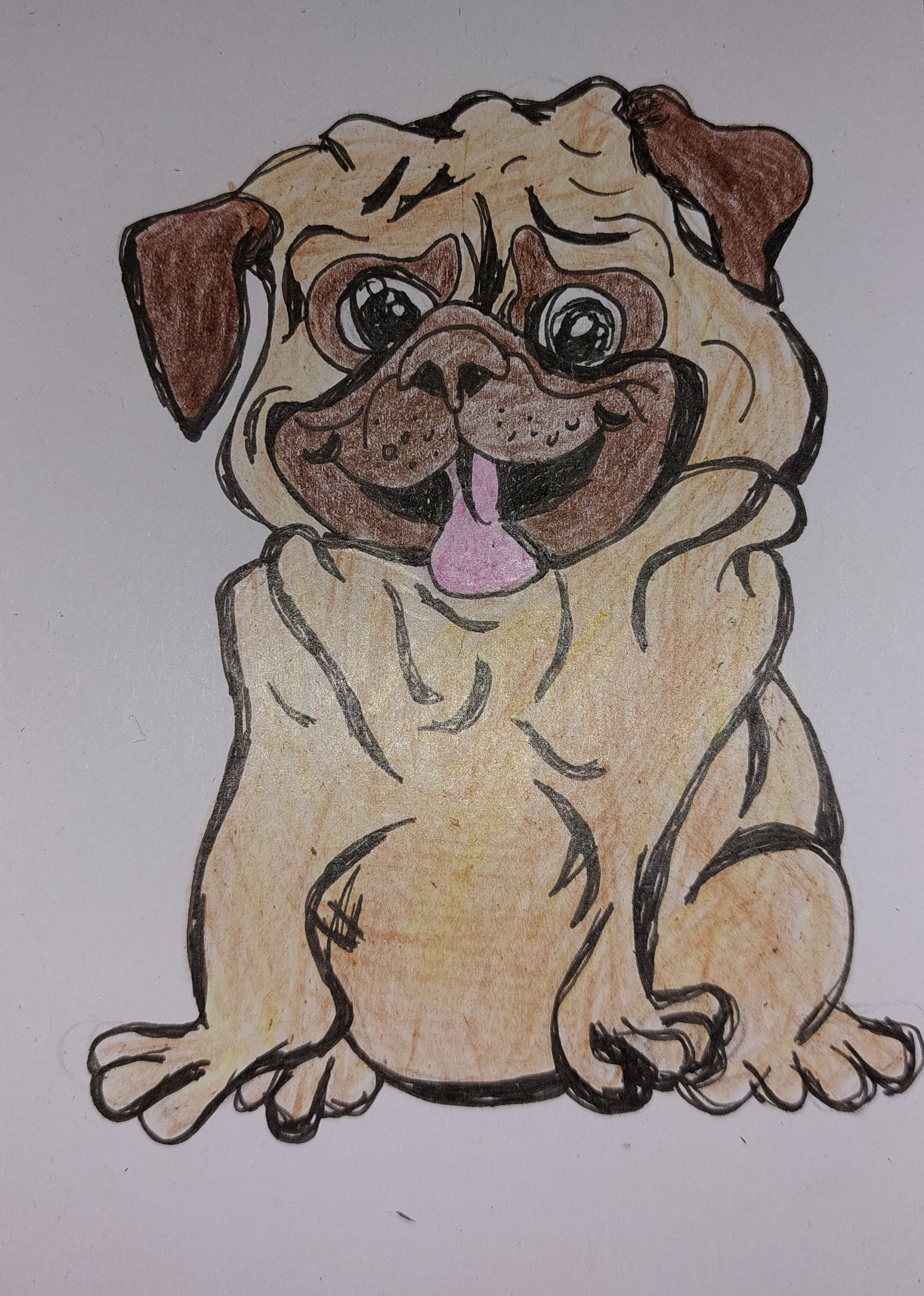 Supercuteandfunnycmicdog